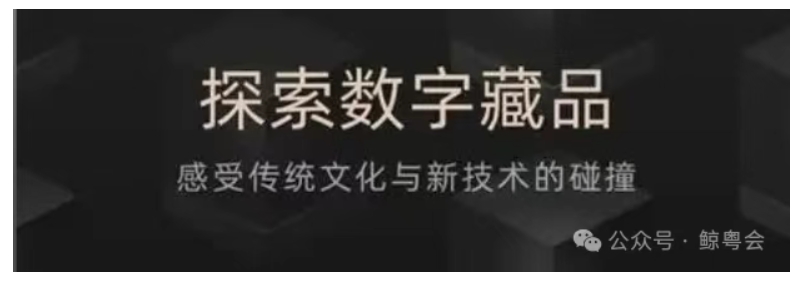 玩鲸探,怎么赚钱的呢?从鲸探赚钱四个层数聊聊