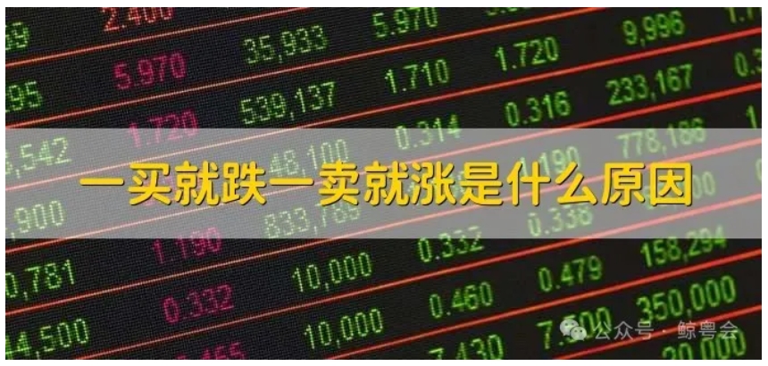 三个问题,来一场对于玩鲸探的灵魂拷问
