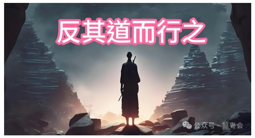没事多聊天,有空多抄底,做一条快乐的鲸鱼