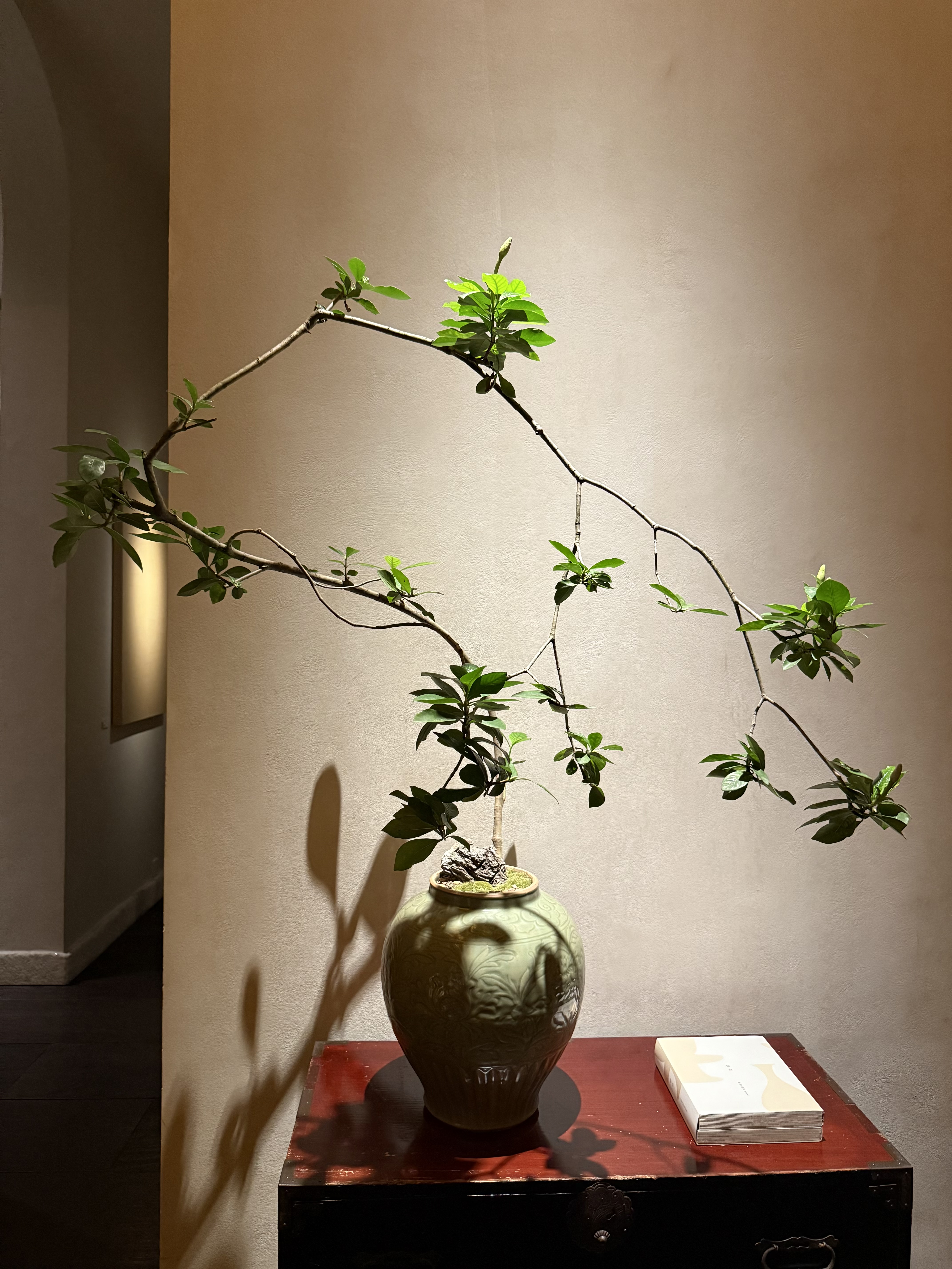 物质为基，精神为引，方能驱动当下，致远未来。